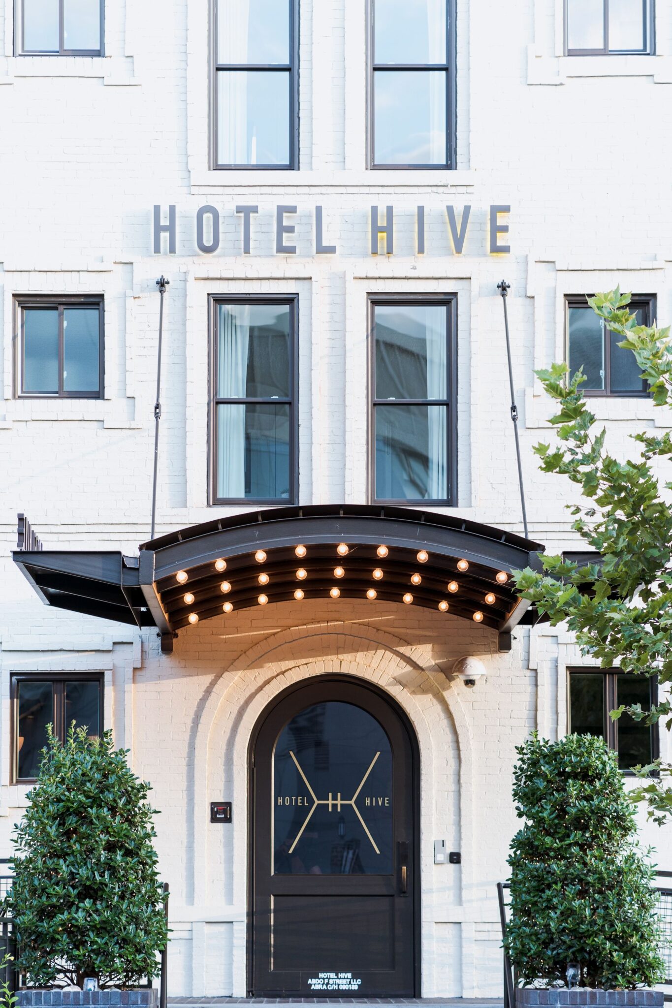 HOTEL HIVE - PM Hotel Group